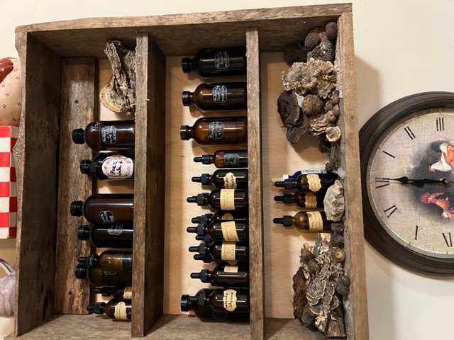 Sunset Holler Farms apothecary shelf with tinctures and dried mushrooms