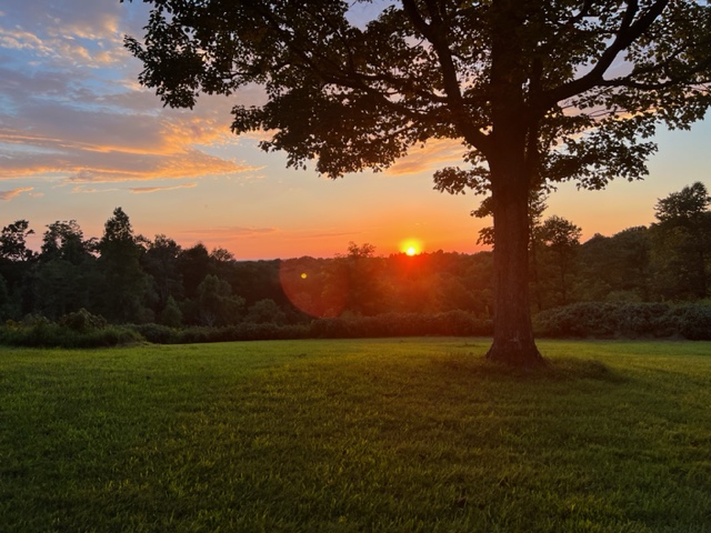 Sunset Holler Farms at sunset in Tennessee
